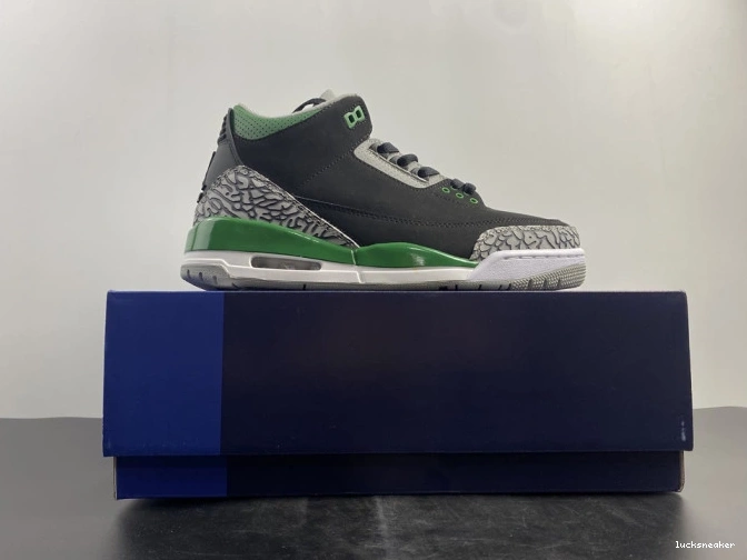 Reps LUCY Pine CT8532-030 Green Jordan 3 Air 0819